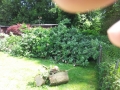 2013I_Sturm20130619_03
