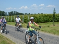 2013P_Huusbraui_13