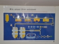 2013P_Huusbraui_23