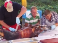 2015P_Saufescht_05