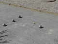 2022P_Bouleturnier_34