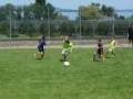 2017P_Sporttag_073